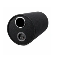 Subwoofer Pioneer TS-WX306T 2