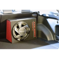 Сабвуфер Pioneer TS-WX300A 3