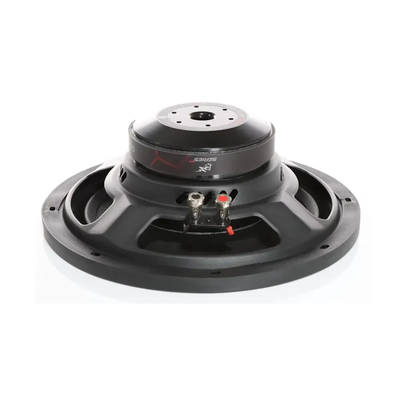 Subwoofer Audio System R12 FLAT EVO2 2