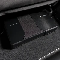 Pioneer TS-WH500A 2