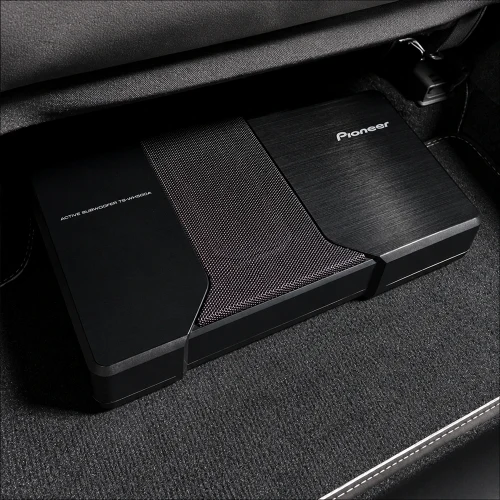 Pioneer TS-WH500A
